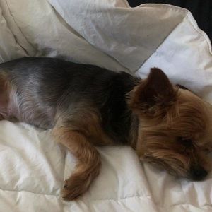 Meet your Posher, Irene